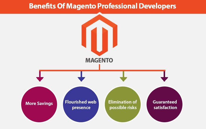 Magento Professional Developers