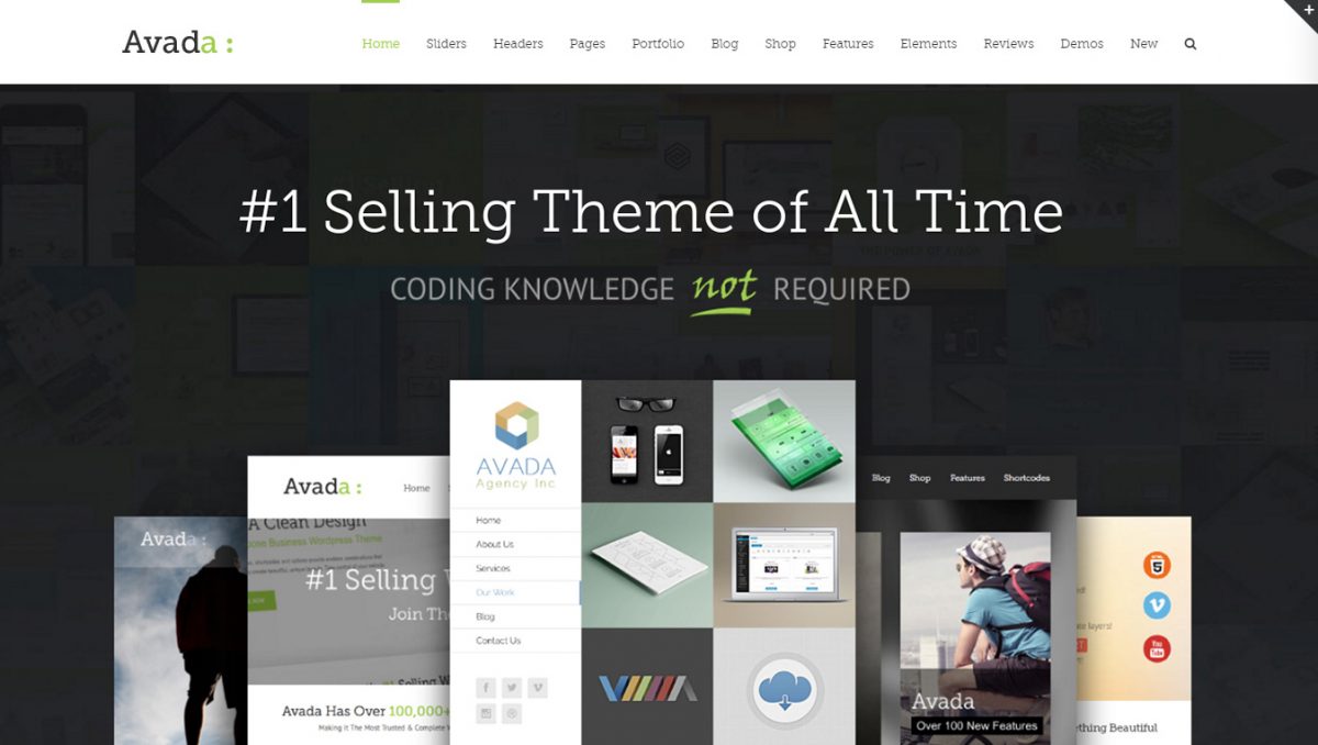 Top 5 Most Popular WordPress Themes