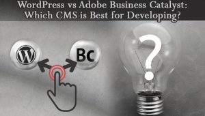 WordPress vs Adobe Business Catalyst : Which CMS is Best?