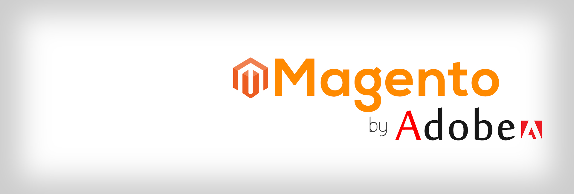Web Development Company, Magento, WordPress, SEO Services