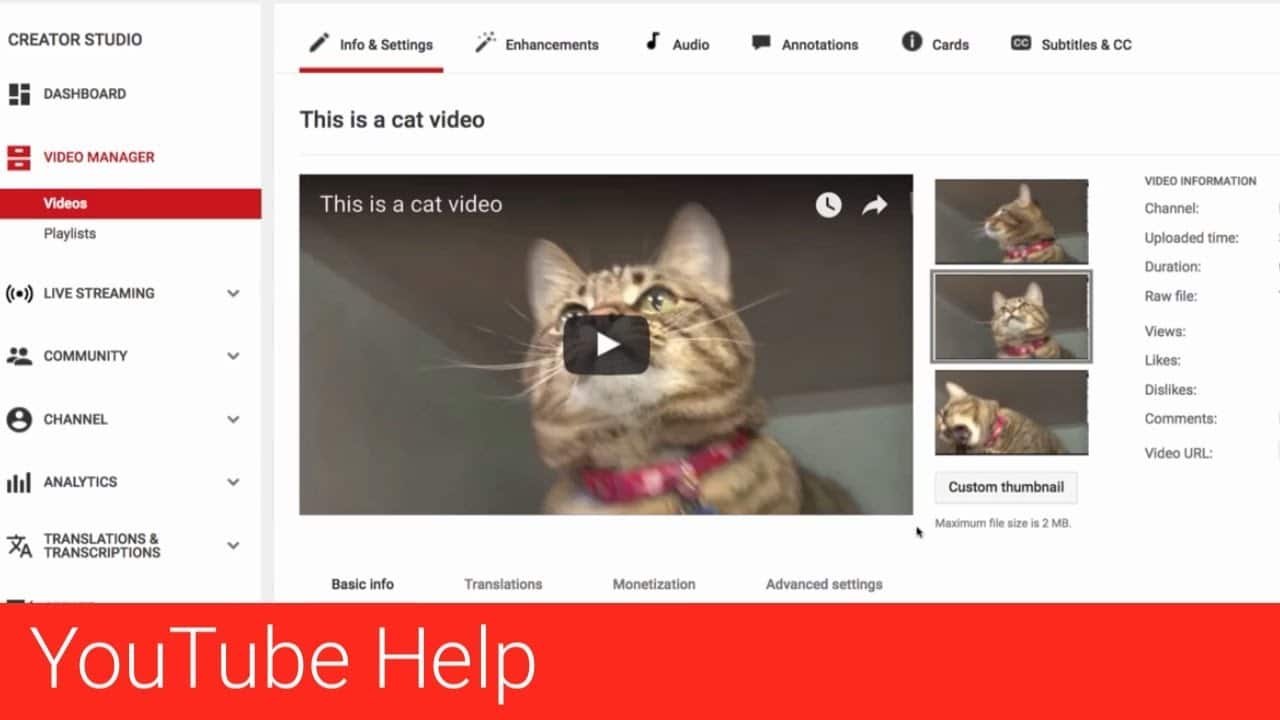 Video Transcript in YouTube