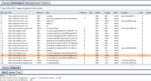 Burp Scanner's capture of Postman traffic