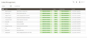 Manual Reindexing through the Admin Panel