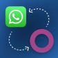 WhatsApp Business Integration
